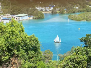 BIRDS EYE VIEW PANORAMA - 180 Degree Sea & River Views